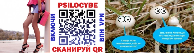 купить закладку  Казань  мориарти какой сайт  Галлюциногенные грибы Cubensis  мега  