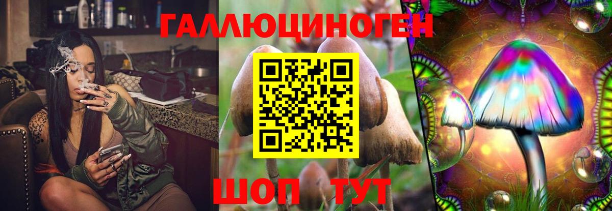 Казань  Галлюциногенные грибы MAGIC MUSHROOMS  Вход с VPN  Псилоцибиновые грибы GOLDEN TEACHER 